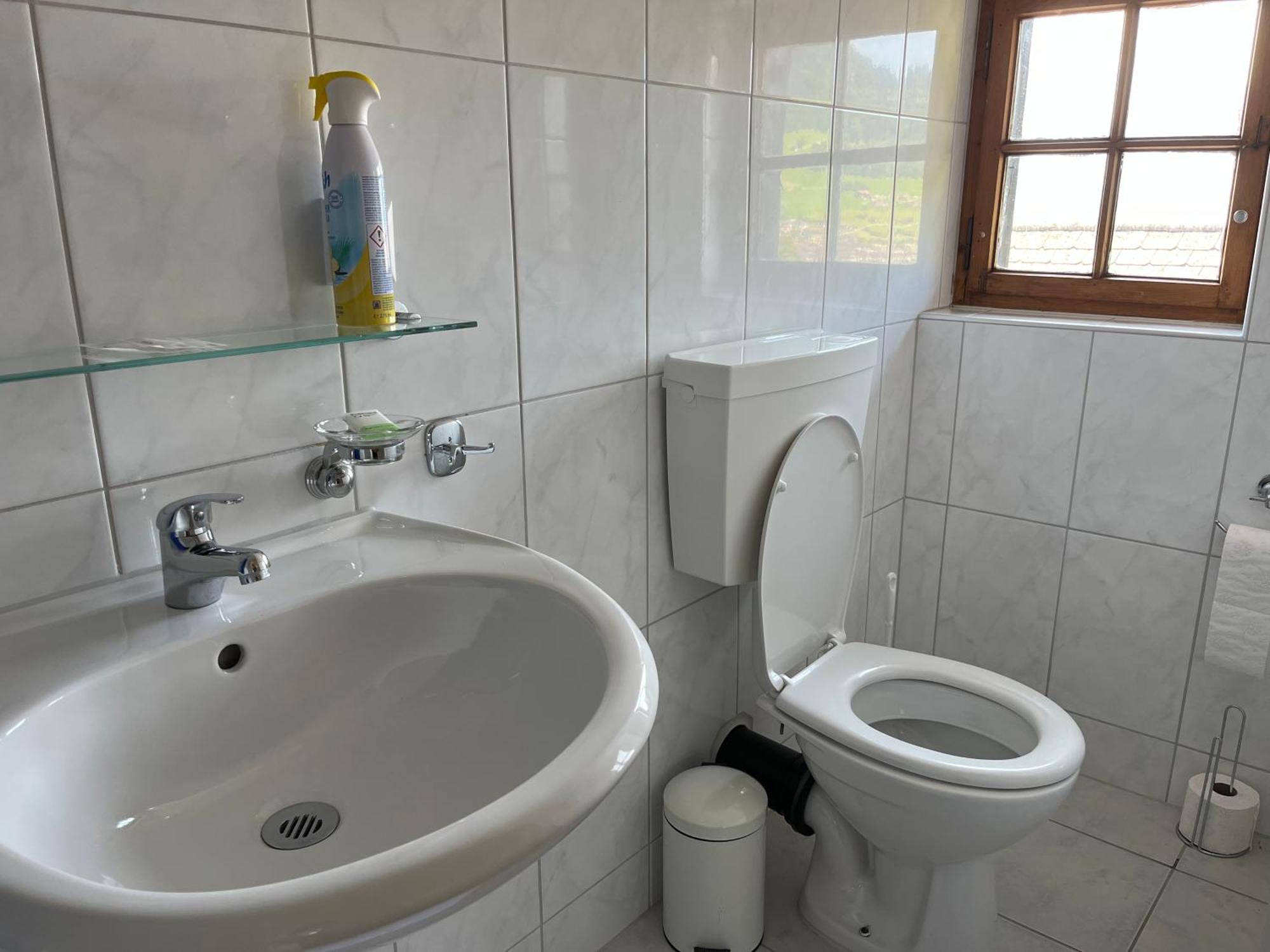 Schaefli Hotel Amden Bagian luar foto