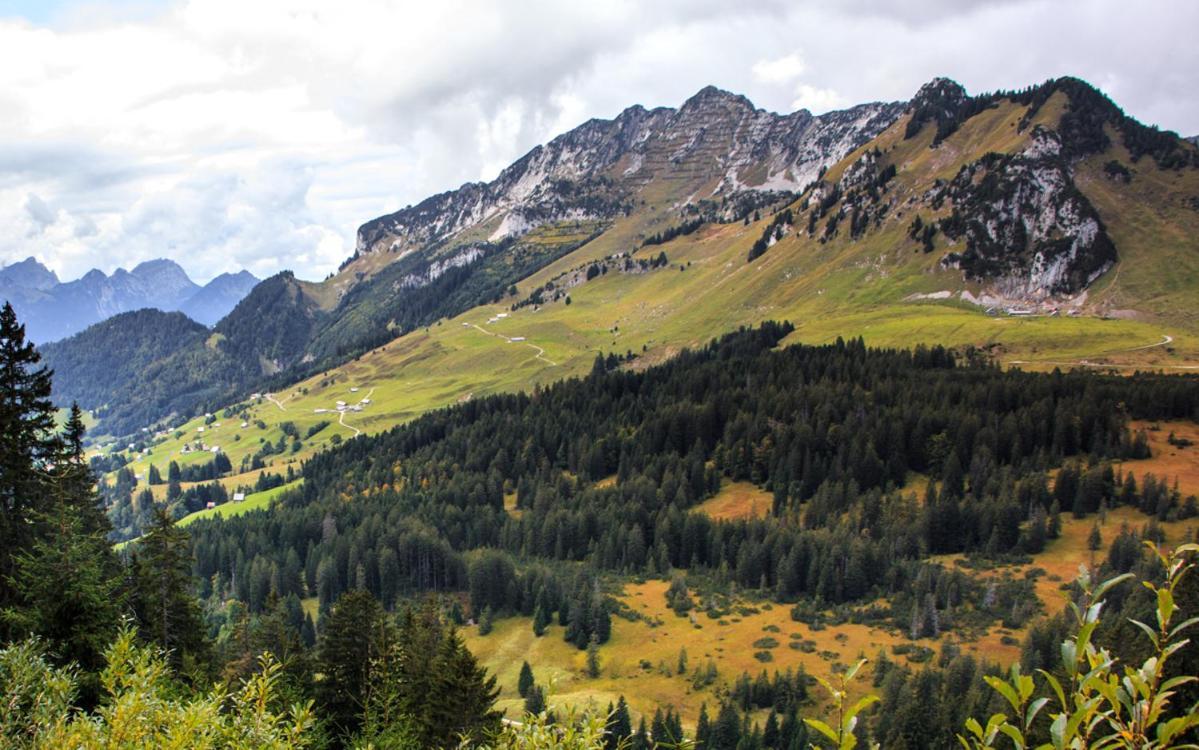 Schaefli Hotel Amden Bagian luar foto